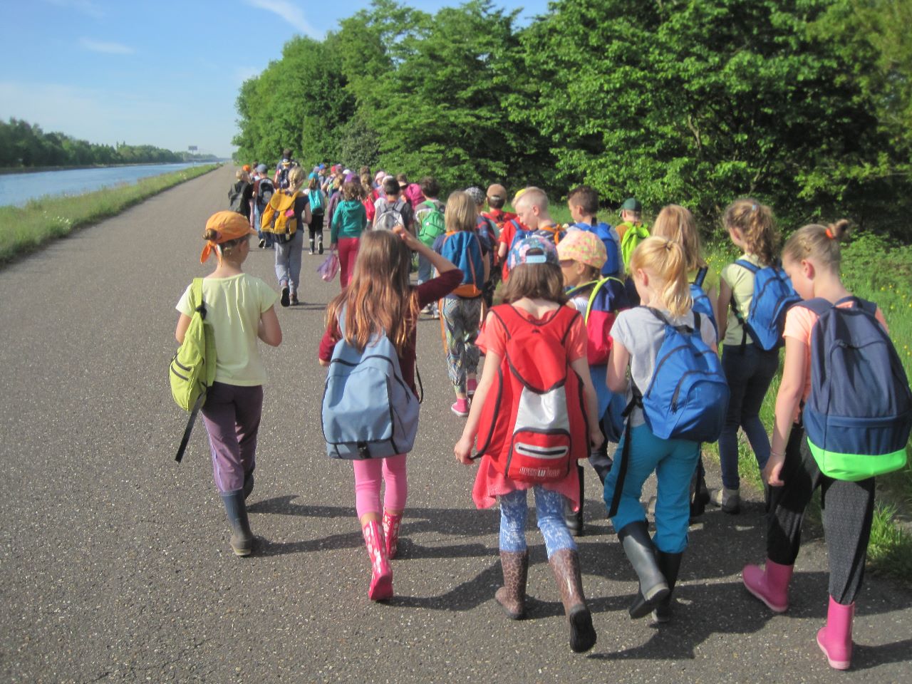 Werken in het Griesbroek samen met de mensen van Natuurpunt